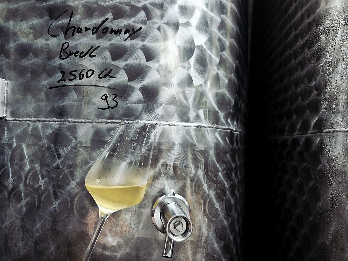 Weinlese 2026 | &copy; Weinmanufaktur Lidy GbR